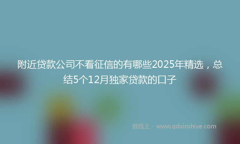 附近贷款公司不看征信的有哪些2025年精选，总结5个12月独家贷款的口子