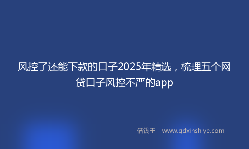 风控了还能下款的口子2025年精选，梳理五个网贷口子风控不严的app