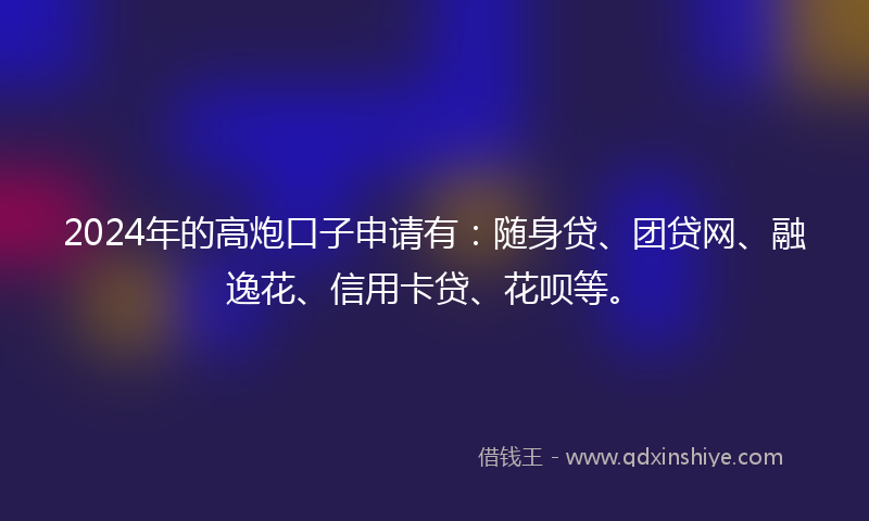 2024年的高炮口子申请有：随身贷、团贷网、融逸花、信用卡贷、花呗等。
