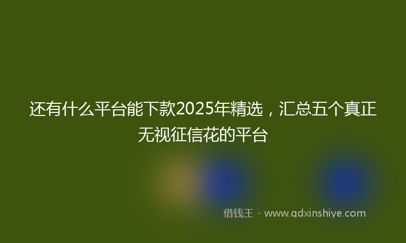还有什么平台能下款2025年精选，汇总五个真正无视征信花的平台