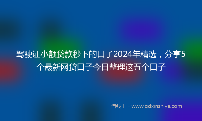 驾驶证小额贷款秒下的口子2024年精选，分享5个最新网贷口子今日整理这五个口子