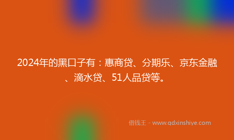 2024年的黑口子有：惠商贷、分期乐、京东金融、滴水贷、51人品贷等。