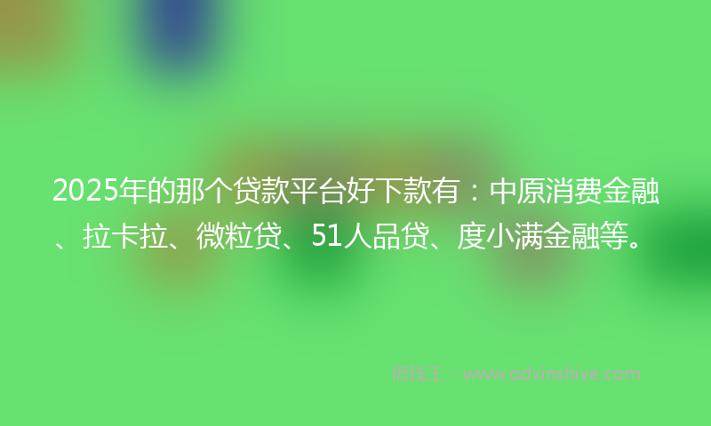 2025年的那个贷款平台好下款有：中原消费金融、拉卡拉、微粒贷、51人品贷、度小满金融等。
