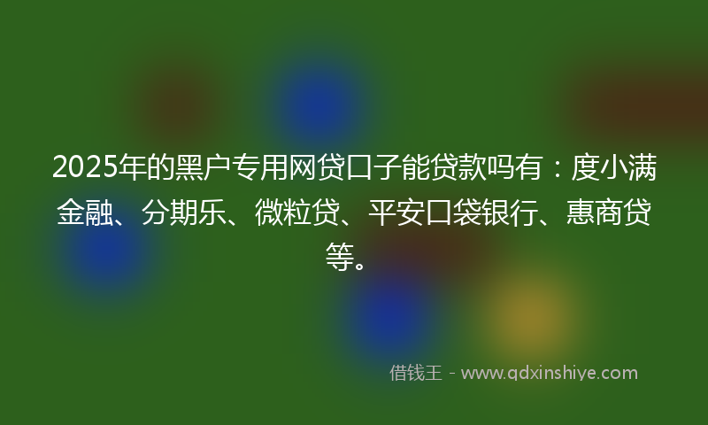 2025年的黑户专用网贷口子能贷款吗有：度小满金融、分期乐、微粒贷、平安口袋银行、惠商贷等。