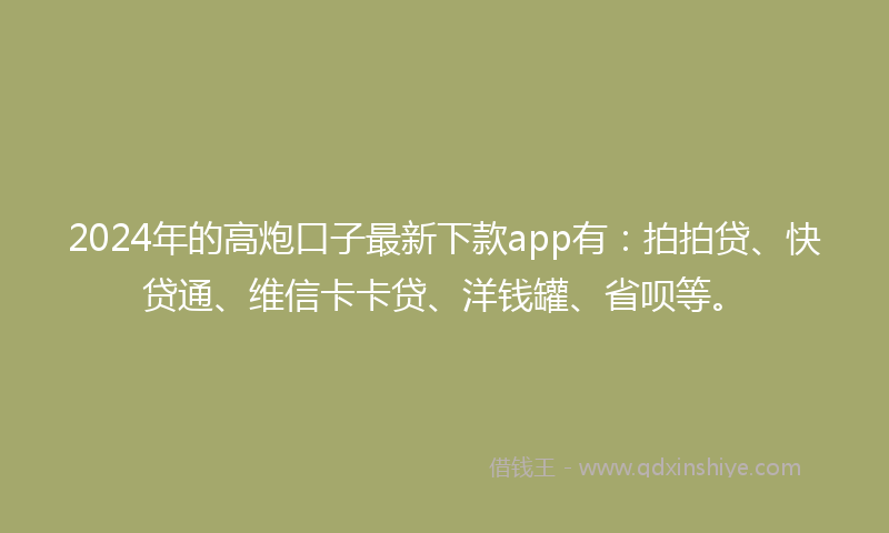 2024年的高炮口子最新下款app有：拍拍贷、快贷通、维信卡卡贷、洋钱罐、省呗等。