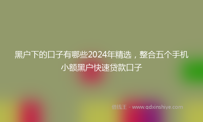 黑户下的口子有哪些2024年精选，整合五个手机小额黑户快速贷款口子