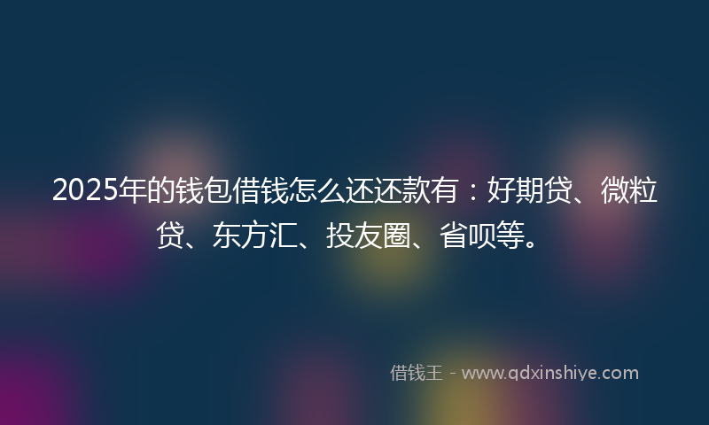 2025年的钱包借钱怎么还还款有：好期贷、微粒贷、东方汇、投友圈、省呗等。