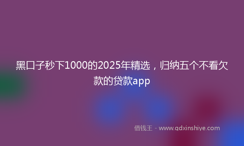 黑口子秒下1000的2025年精选，归纳五个不看欠款的贷款app