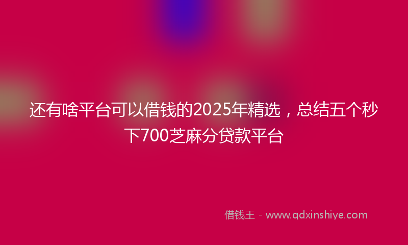 还有啥平台可以借钱的2025年精选，总结五个秒下700芝麻分贷款平台