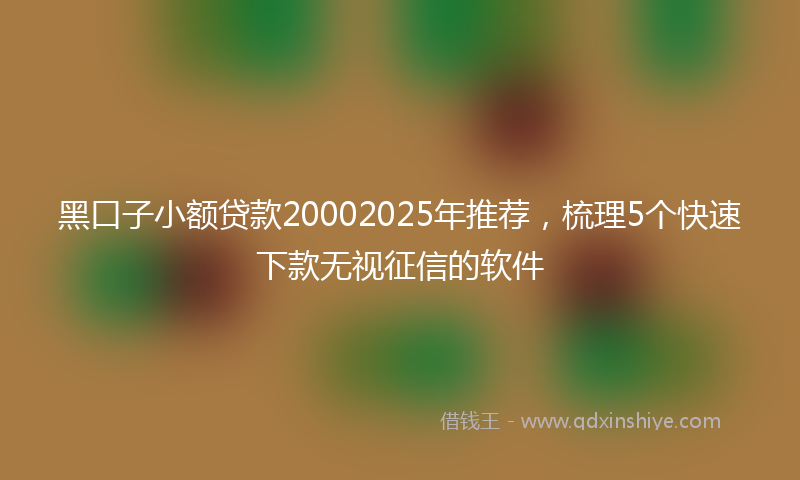 黑口子小额贷款20002025年推荐，梳理5个快速下款无视征信的软件