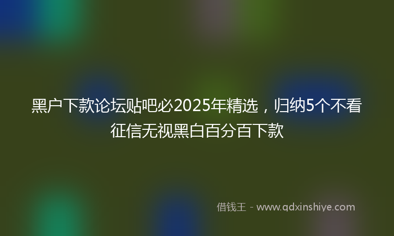 黑户下款论坛贴吧必2025年精选，归纳5个不看征信无视黑白百分百下款