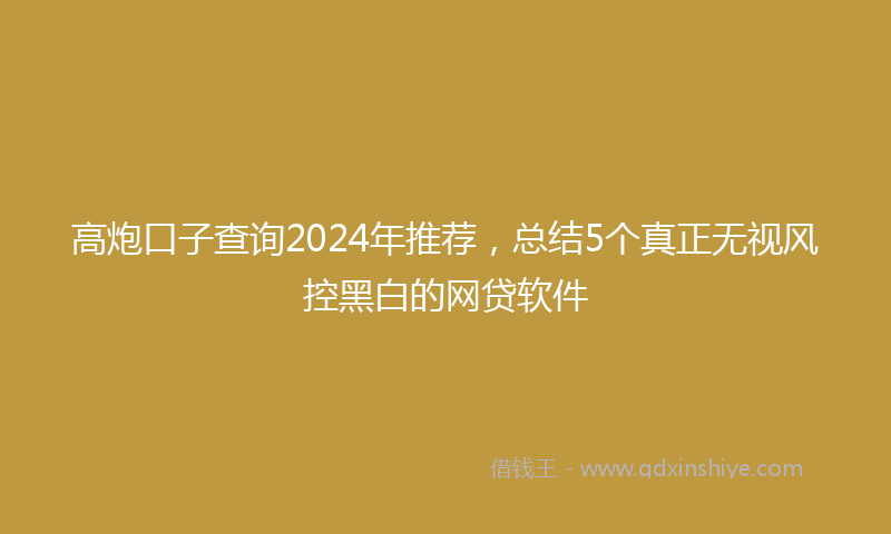 高炮口子查询2024年推荐，总结5个真正无视风控黑白的网贷软件