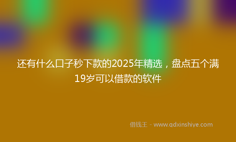 还有什么口子秒下款的2025年精选，盘点五个满19岁可以借款的软件