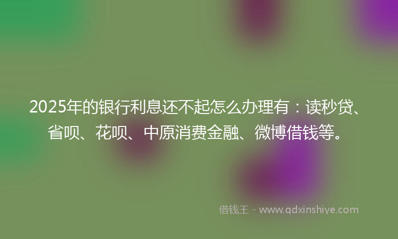 2025年的银行利息还不起怎么办理有：读秒贷、省呗、花呗、中原消费金融、微博借钱等。