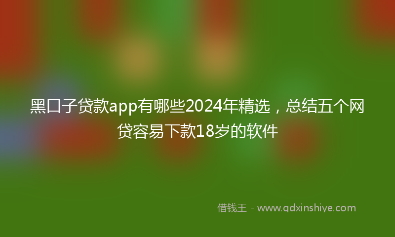 黑口子贷款app有哪些2024年精选，总结五个网贷容易下款18岁的软件