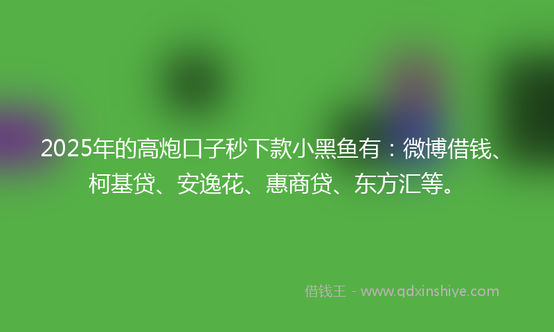 2025年的高炮口子秒下款小黑鱼有：微博借钱、柯基贷、安逸花、惠商贷、东方汇等。