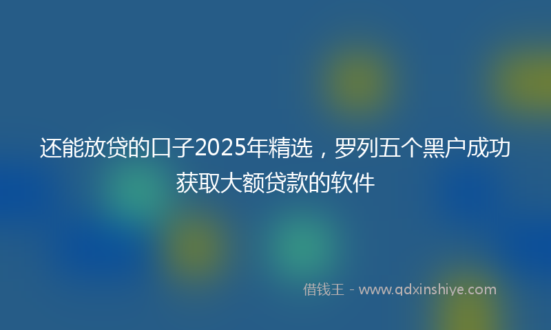 还能放贷的口子2025年精选，罗列五个黑户成功获取大额贷款的软件