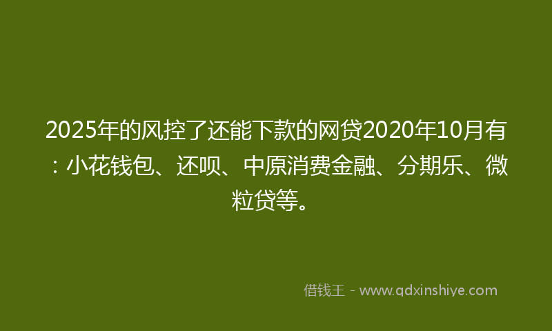 2025年的风控了还能下款的网贷2020年10月有：小花钱包、还呗、中原消费金融、分期乐、微粒贷等。
