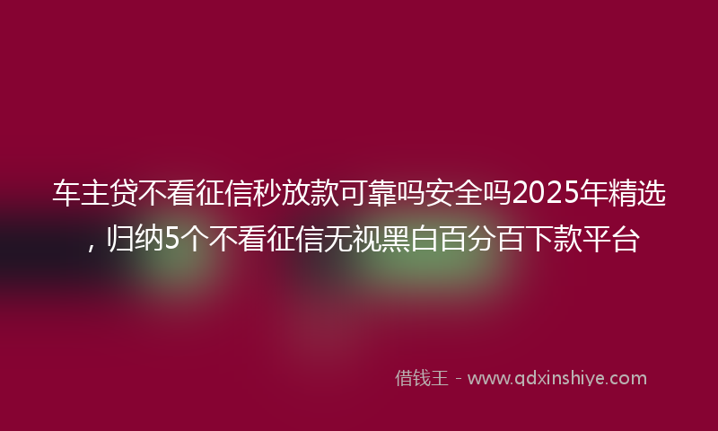 车主贷不看征信秒放款可靠吗安全吗2025年精选，归纳5个不看征信无视黑白百分百下款平台