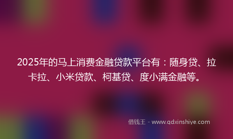 2025年的马上消费金融贷款平台有：随身贷、拉卡拉、小米贷款、柯基贷、度小满金融等。