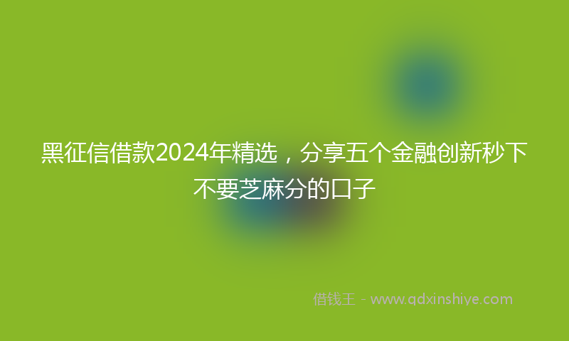 黑征信借款2024年精选，分享五个金融创新秒下不要芝麻分的口子