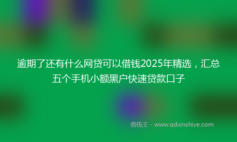 逾期了还有什么网贷可以借钱2025年精选，汇总五个手机小额黑户快速贷款口子
