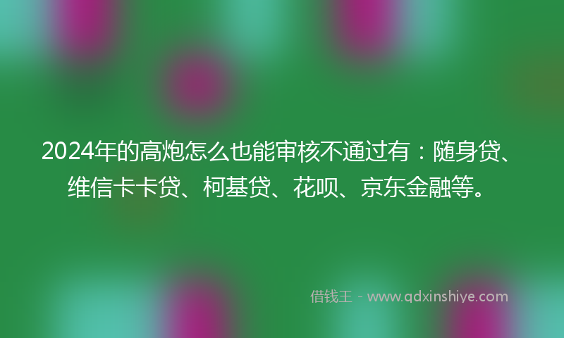 2024年的高炮怎么也能审核不通过有：随身贷、维信卡卡贷、柯基贷、花呗、京东金融等。
