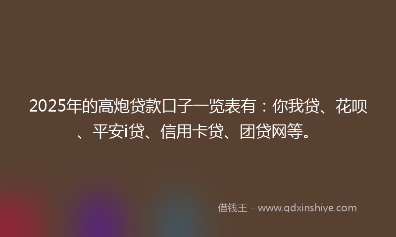 2025年的高炮贷款口子一览表有：你我贷、花呗、平安i贷、信用卡贷、团贷网等。