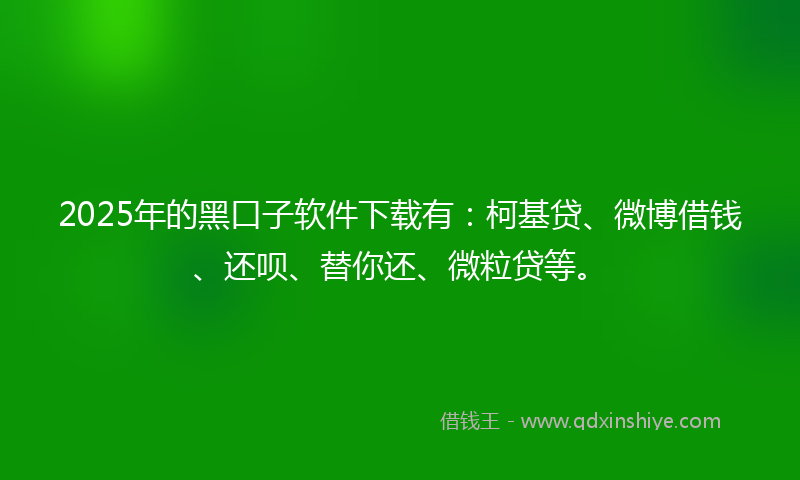 2025年的黑口子软件下载有：柯基贷、微博借钱、还呗、替你还、微粒贷等。