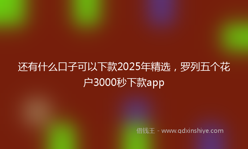 还有什么口子可以下款2025年精选，罗列五个花户3000秒下款app