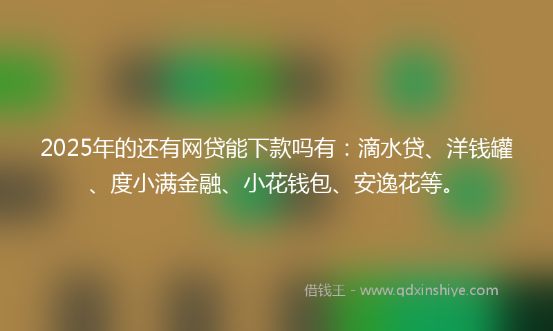 2025年的还有网贷能下款吗有：滴水贷、洋钱罐、度小满金融、小花钱包、安逸花等。