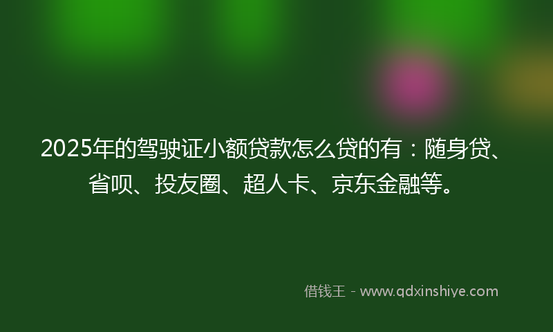 2025年的驾驶证小额贷款怎么贷的有：随身贷、省呗、投友圈、超人卡、京东金融等。