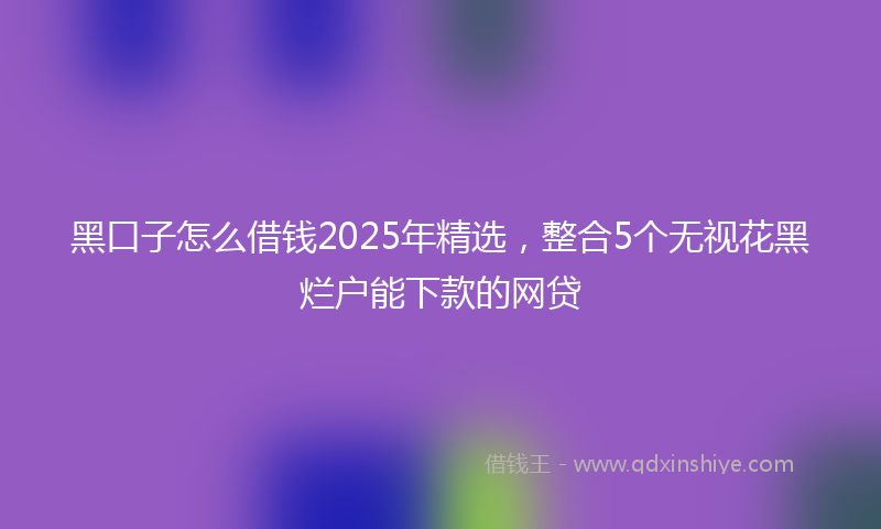 黑口子怎么借钱2025年精选，整合5个无视花黑烂户能下款的网贷