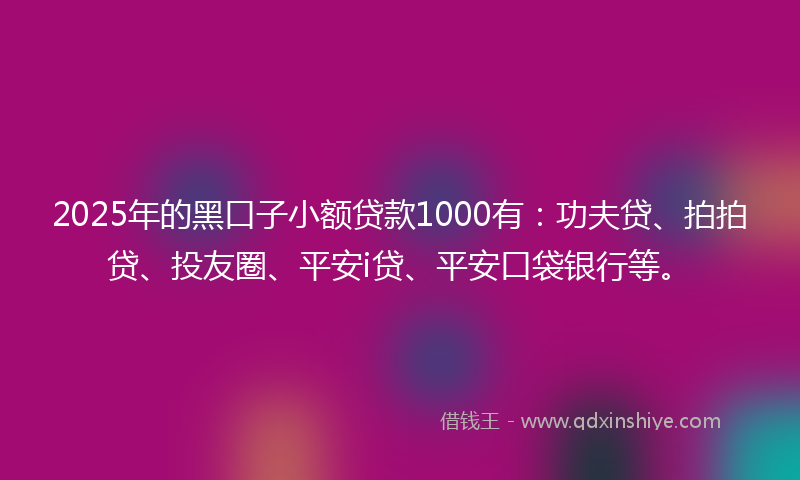 2025年的黑口子小额贷款1000有：功夫贷、拍拍贷、投友圈、平安i贷、平安口袋银行等。