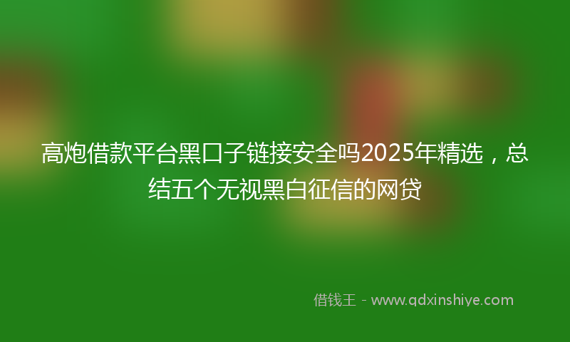 高炮借款平台黑口子链接安全吗2025年精选，总结五个无视黑白征信的网贷