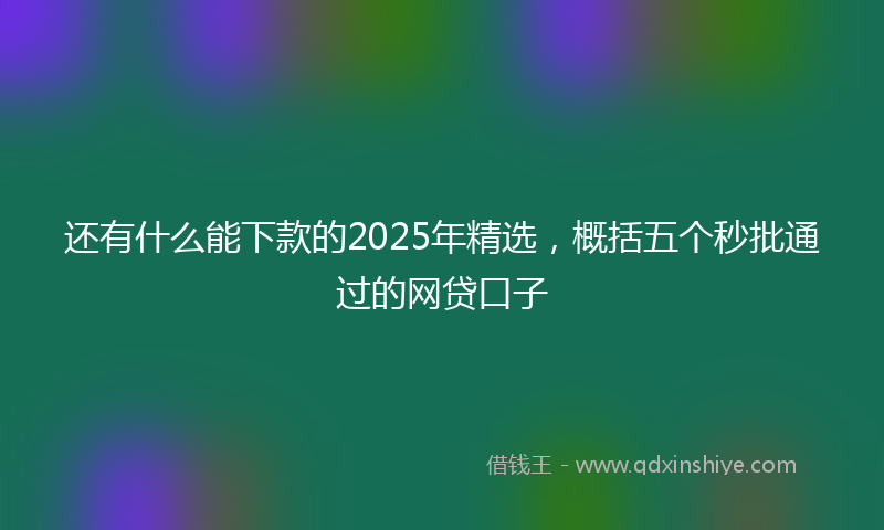 还有什么能下款的2025年精选，概括五个秒批通过的网贷口子