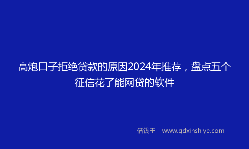 高炮口子拒绝贷款的原因2024年推荐，盘点五个征信花了能网贷的软件