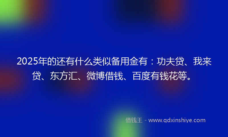 2025年的还有什么类似备用金有：功夫贷、我来贷、东方汇、微博借钱、百度有钱花等。