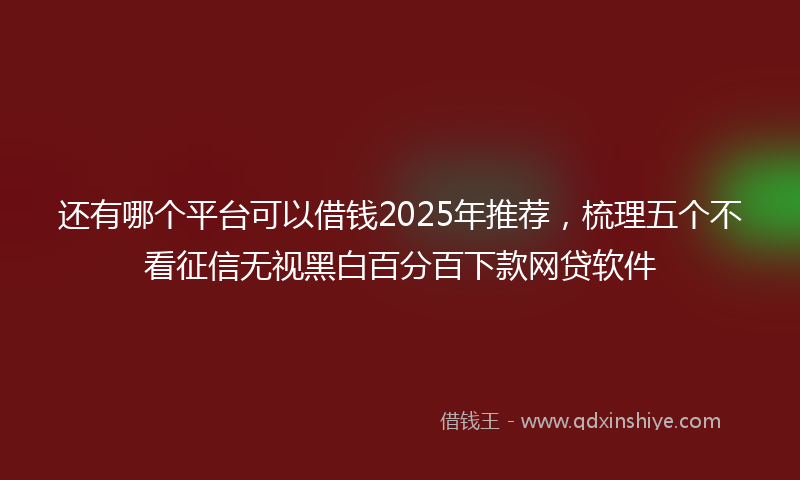 还有哪个平台可以借钱2025年推荐，梳理五个不看征信无视黑白百分百下款网贷软件