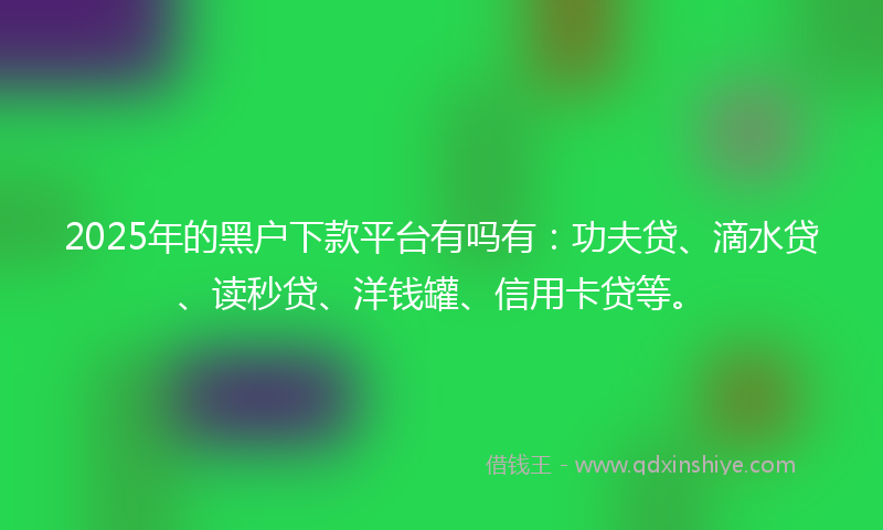 2025年的黑户下款平台有吗有：功夫贷、滴水贷、读秒贷、洋钱罐、信用卡贷等。