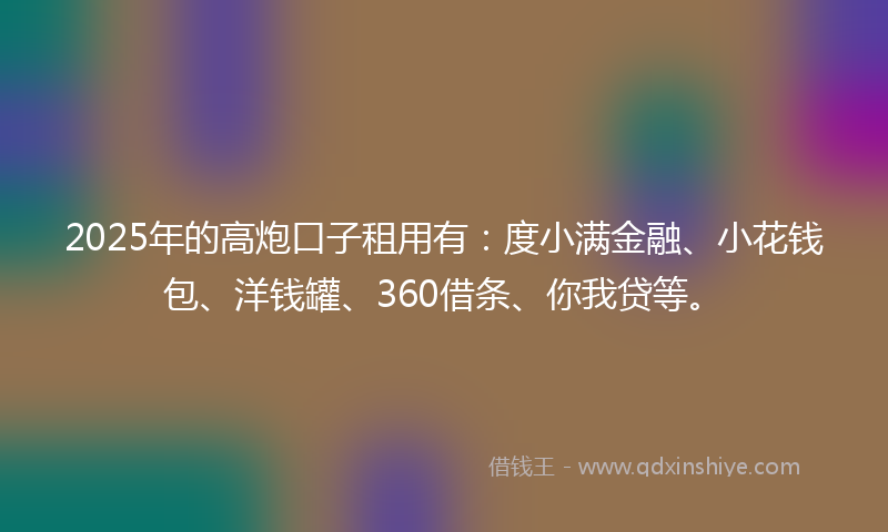 2025年的高炮口子租用有：度小满金融、小花钱包、洋钱罐、360借条、你我贷等。