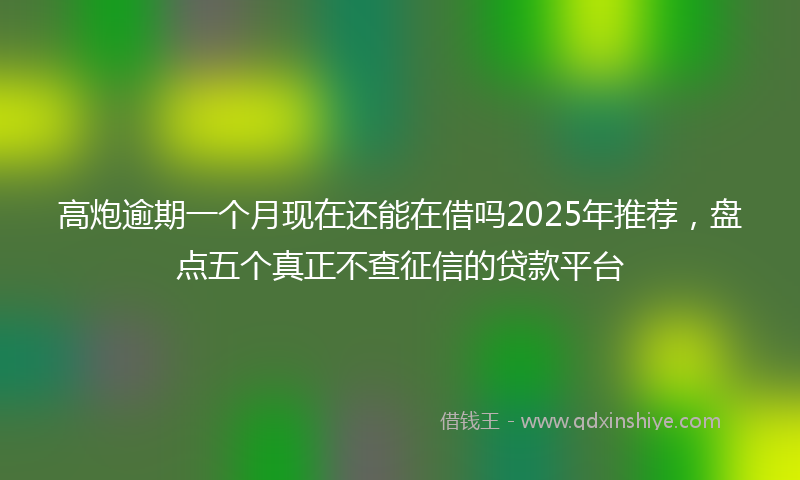 高炮逾期一个月现在还能在借吗2025年推荐，盘点五个真正不查征信的贷款平台