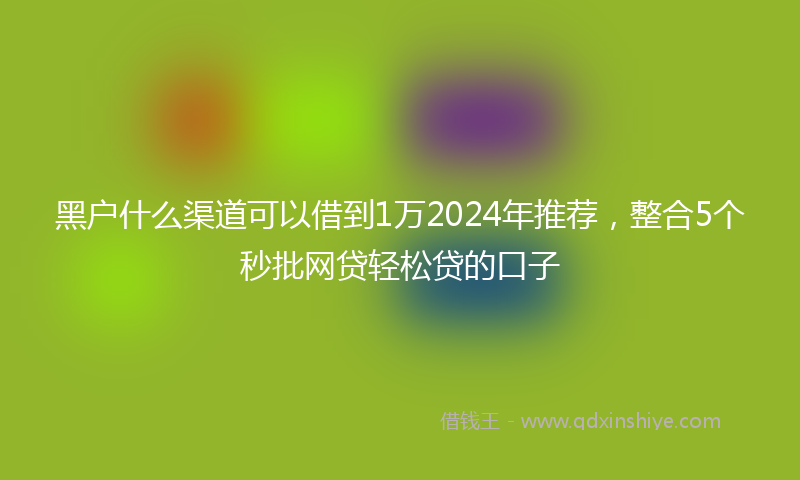 黑户什么渠道可以借到1万2024年推荐，整合5个秒批网贷轻松贷的口子