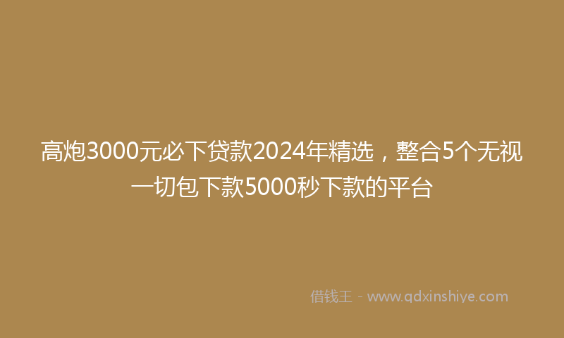 高炮3000元必下贷款2024年精选，整合5个无视一切包下款5000秒下款的平台
