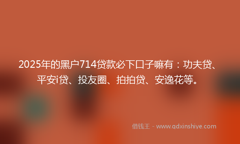 2025年的黑户714贷款必下口子嘛有：功夫贷、平安i贷、投友圈、拍拍贷、安逸花等。