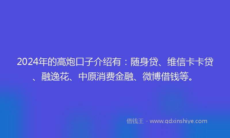 2024年的高炮口子介绍有：随身贷、维信卡卡贷、融逸花、中原消费金融、微博借钱等。
