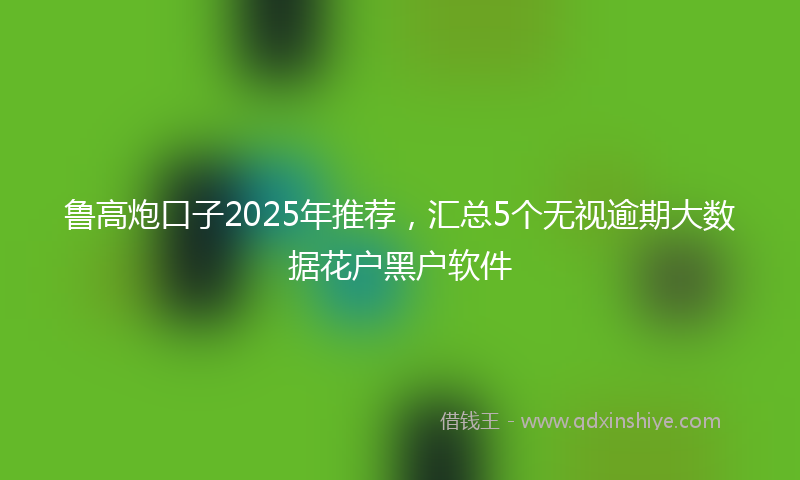 鲁高炮口子2025年推荐，汇总5个无视逾期大数据花户黑户软件