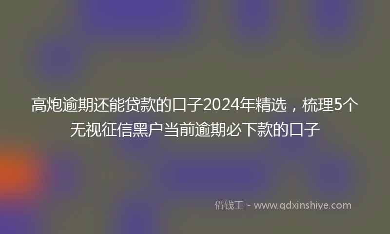高炮逾期还能贷款的口子2024年精选，梳理5个无视征信黑户当前逾期必下款的口子