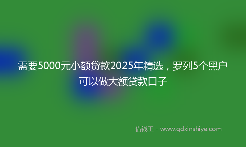 需要5000元小额贷款2025年精选，罗列5个黑户可以做大额贷款口子