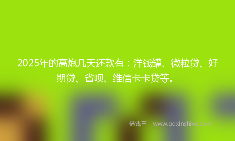 2025年的高炮几天还款有：洋钱罐、微粒贷、好期贷、省呗、维信卡卡贷等。